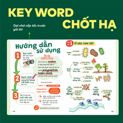 Sách P.H.A.O Sinh học Ôn luyện thi tốt nghiệp THPT, ĐGNL - Trợ thủ đắc lực lấy gốc lí thuyết | WinBook