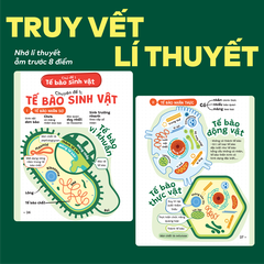 Sách P.H.A.O Sinh học Ôn luyện thi tốt nghiệp THPT, ĐGNL - Trợ thủ đắc lực lấy gốc lí thuyết | WinBook
