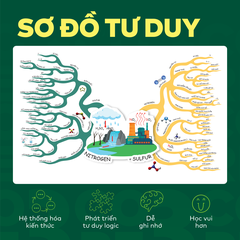 Bộ Đột phá tư duy Hoá học 11 (2 tập)