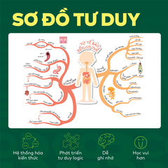 Bộ Đột phá tư duy Khoa học tự nhiên 6 (2 tập)