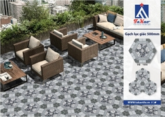 Gạch lát lục giác 1666