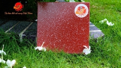 Gạch lát 30x30cm men đá granite màu đỏ chấm bi Gốm Đất Việt