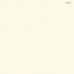 CP6001 Gạch lát sàn