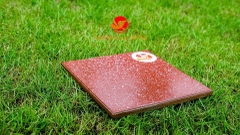 Gạch lát 30x30cm men đá granite màu đỏ chấm bi Gốm Đất Việt