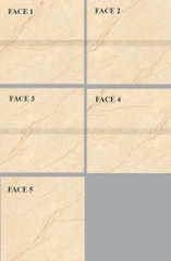 Gạch lát nền Viglacera MDP 822