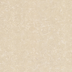 Gạch Viglacera 80x80 TS2 812