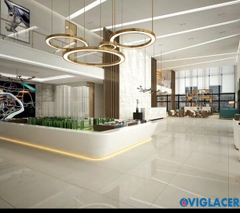 Gạch Viglacera 60x60 TS5 601