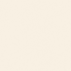 Gạch Viglacera 80x80 TS5 800