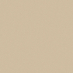 Gạch Viglacera 80x80 TS5 802