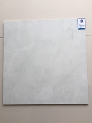 Gạch bán sứ 60x60cm Viglacera VG 6010