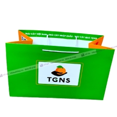 Túi giấy đựng giỏ hoa quả