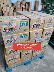 ĐẬU NÀNH SOYA - T24