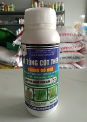 * Bê tông cốt thép 500ml