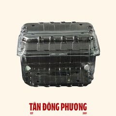 KHAY TRÁI CÂY 1 KG