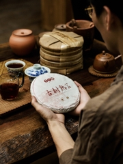 Phổ nhĩ chín Cổ Thụ Thục Liễu bánh 300g 2018