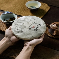 Phổ nhĩ sống Dã Ngưu Đường bánh 357g 2023