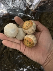 Phổ Nhĩ Quýt 180g