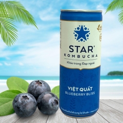 Trà lên men Star Kombucha mix vị (250ml/lon)