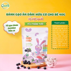 Bánh Gạo Ăn Dặm Hữu Cơ NOBI NOBI - Cho bé từ 6 tháng tuổi, Gofit Mart, 40g