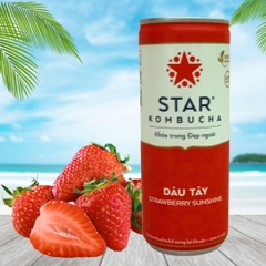 Trà lên men Star Kombucha mix vị (250ml/lon)