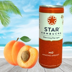 Trà lên men Star Kombucha mix vị (250ml/lon)