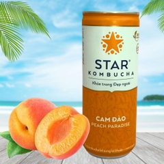 Trà lên men Star Kombucha mix vị (250ml/lon)