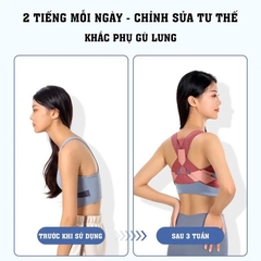 COMBO Dây kéo 6 ống tập cơ bụng và đai chống gù lưng bảo vệ vòng 1, định hình khi tập yoga, gym