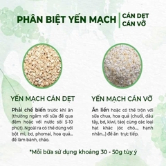 [GIÁ ƯU ĐÃI] Yến mạch cán mỏng/cán vỡ Sức Khỏe Xanh, Nhập khẩu từ Úc, Túi 500g