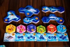 Aqua - Board Game Xây Dựng Thủy Cung