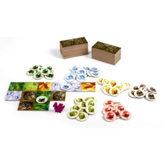 Dragomino - Board game Domino Vương Quốc Rồng