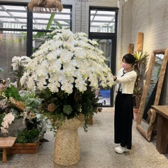 Chậu Lan Hồ Điệp Chất Liệu Cao Su Non Màu Trắng - Chậu Cỡ Lớn