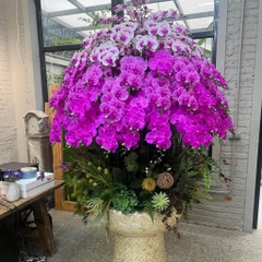 Chậu Lan Hồ Điệp Chất Liệu Cao Su Non Màu Tím Mix Trắng Lõi Tím – Chậu Cỡ Đại Sang Trọng Cho Sảnh, Biệt Thự