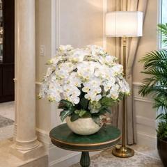 Chậu Lan Hồ Điệp Chất Liệu Cao Su Non Màu Trắng – Sang Trọng