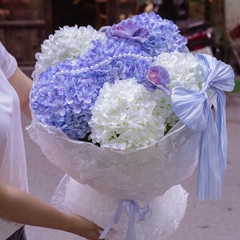 Hoa Cẩm Tú Cầu Lụa Xanh Dương Mix Trắng – Tinh Khôi, Thanh Lịch
