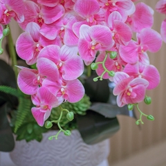 Chậu Hoa Lan Hồ Điệp Cao Su Màu Hồng Phấn