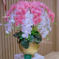 Chậu Hoa Lan Hồ Điệp Cao Su Màu Hồng Mix Trắng Sang Trọng