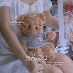 Gấu bông Teddy lông xù