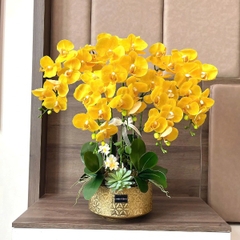 Chậu Hoa Lan Cao Su Ướt Non Màu Vàng 6 Cành