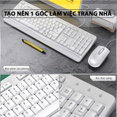 Combo bàn phím chuột văn phòng chính hãng DEIOG DY 817S có dây chống nước giả cơ cho làm việc và chơi game