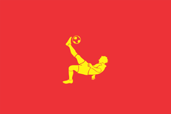 Cờ 60x40