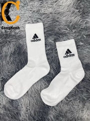 Tất Cổ Cao CK
