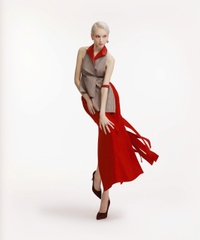 AFTERIMAGE SKIRT