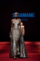 PROVENANCE DRESS
