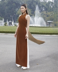 REUNION AO DAI