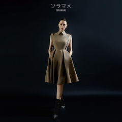 RAINCOAT SLEEVELESS PLEATED DRESS
