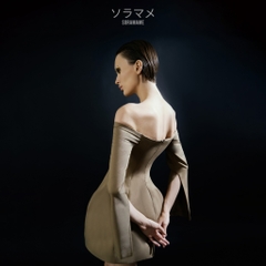 BALLET LONG SLEEVES STRAPLESS DRESS