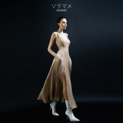 SPLIT CHIFFON DRESS
