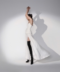 MOONDANCE DRESS