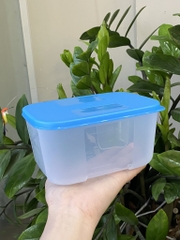 Hộp Tupperware Đông cao 650ml - Tupperware Trung Chính Hãng