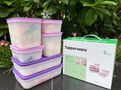 Bộ 6 Hộp Tupperware Trữ Đông Violet -Tupperware Chính Hãng